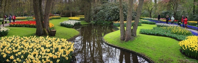 Парк цветов Кёкенкоф. Нидерланды. Фото