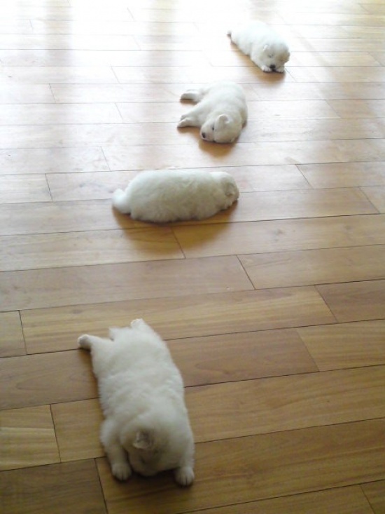 71a83a35.jpg