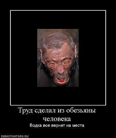 706e6fab5343287a4b4b605063d.jpg