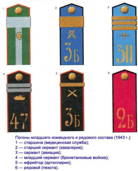 Форма  одежды и знаки различия сухопутных войск Красной Армии, внутренних  войск НКВД и погранвойск в период Великой Отечественной войны 0274dd65