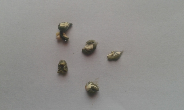 2f620d65.jpg