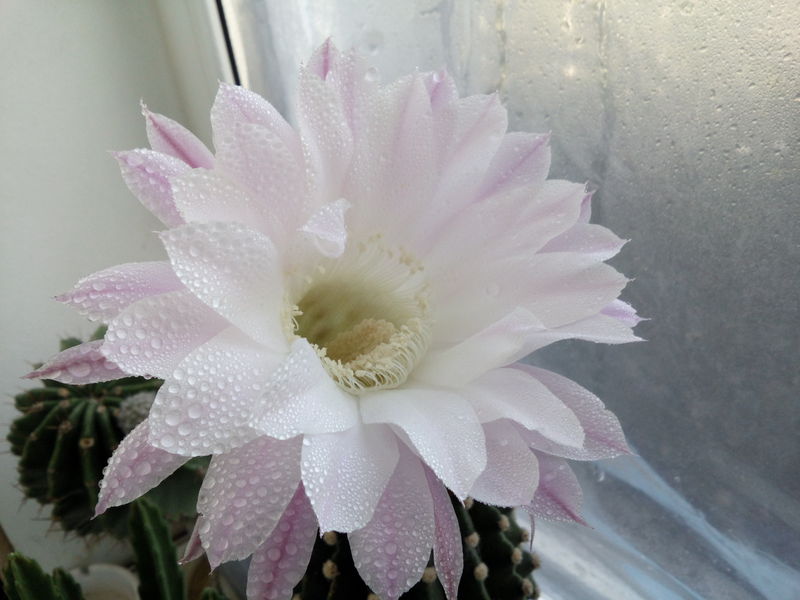 6704d775.jpg