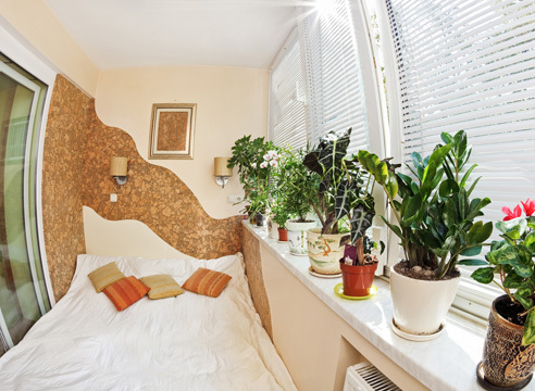 d5771335.jpg