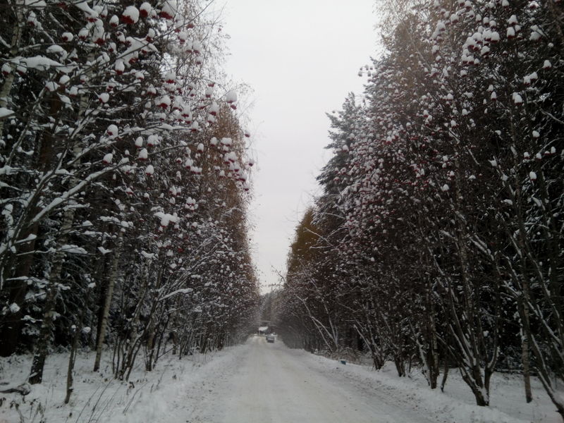 bc843285.jpg