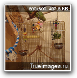 bab6ea90253f7a245f3eede7cd3.png