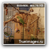 b0364078063adec4c250b2c4d35.png