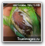 62e06c45.png