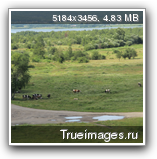 Опубликованное фото