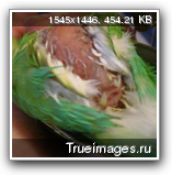 19d06c45.png