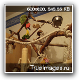 d9772235c905e93fa2a5b155031.png