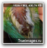 3cd06c45.png