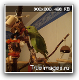 a5f0df170dcbe86242ea3d123e5.png