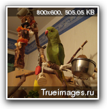 fcbdc0939574456e5015dcd8258.png
