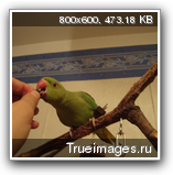 1cc064b9189808f02775b4f9e0c.png