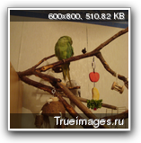 f1ada09328ccc667ffc93016c87.png
